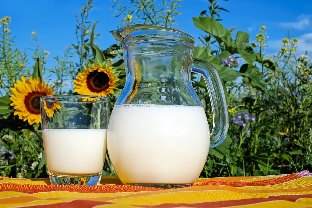 Jarra y vaso de leche de vaca fresca al aire libre, representando la proteína de la leche bovina (APLV)