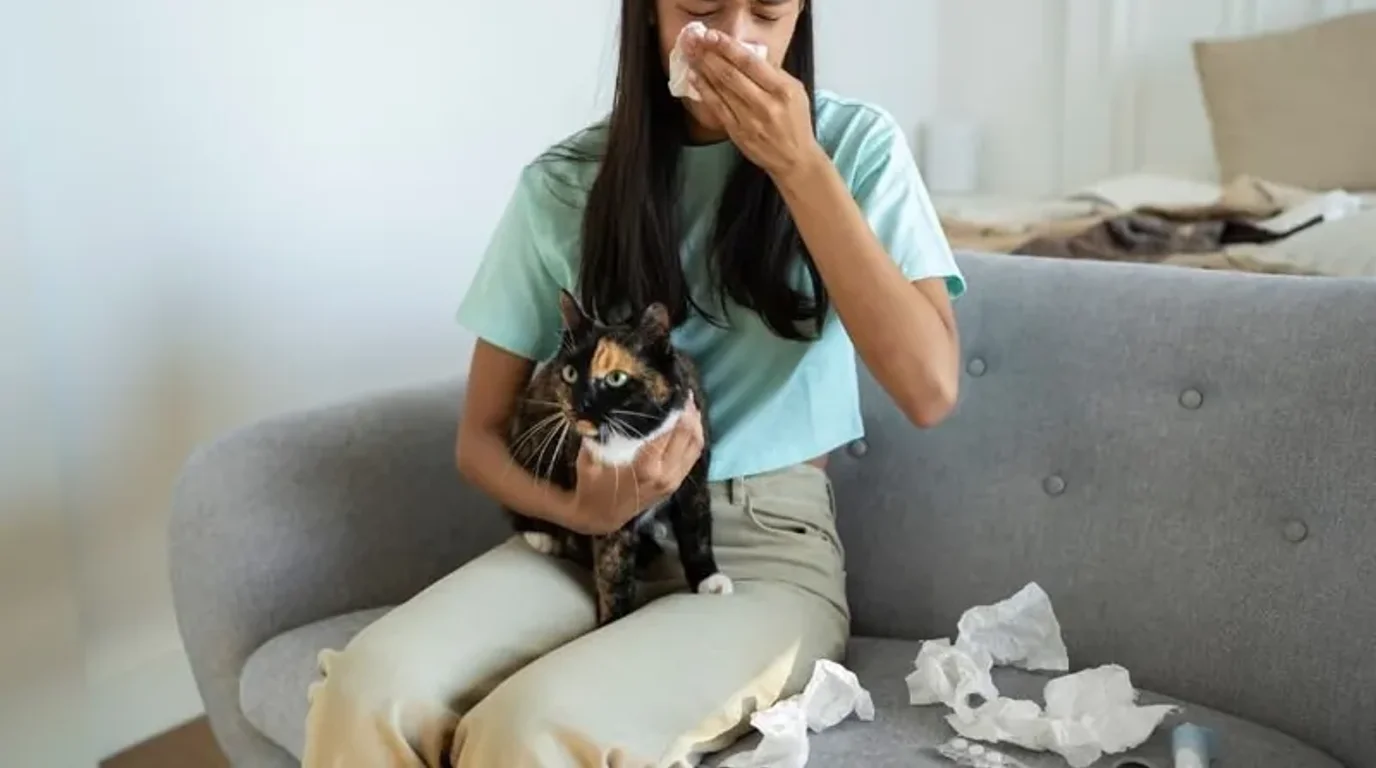 Alergia a los gatos: síntomas, causas y cómo convivir con tu felino