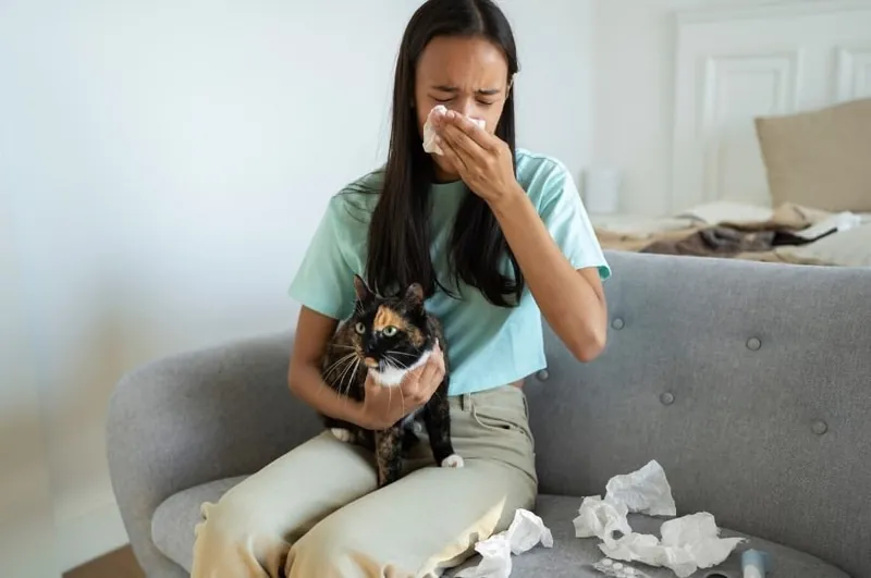 ¿Cómo identificar la alergia a los gatos y qué hacer si se tiene?