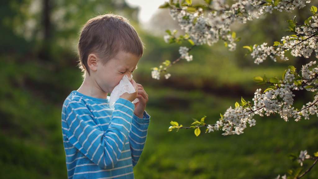 Causas de las alergias más comunes en los niños, Dr. Daniel Amaya Ruiz, Médico Alergólogo